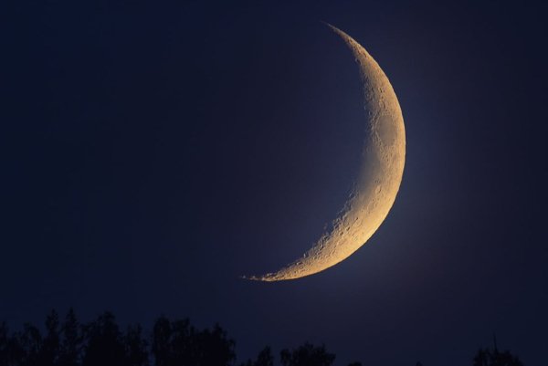 Молодой месяц