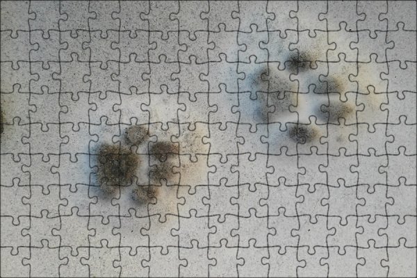 Следы кошачьих лапок на снегу