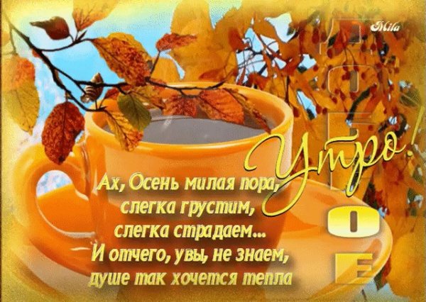 Красивые пожелания доброго осеннего утра