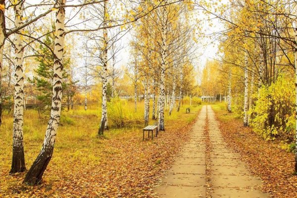 С наступлением осени