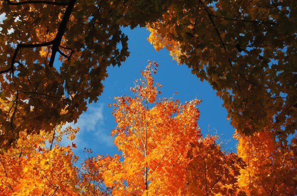 Красивого осеннего дня