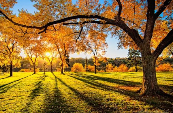 Солнечная осень