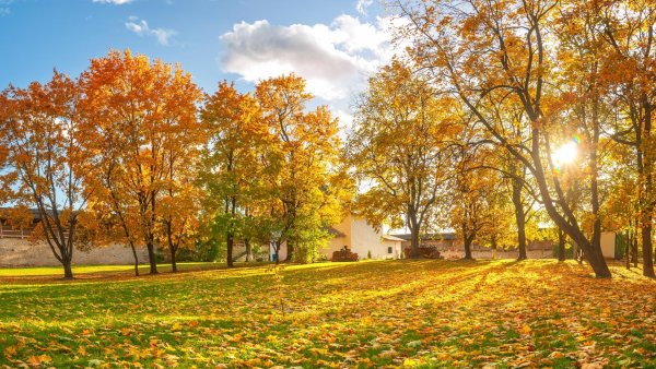 Осенний город