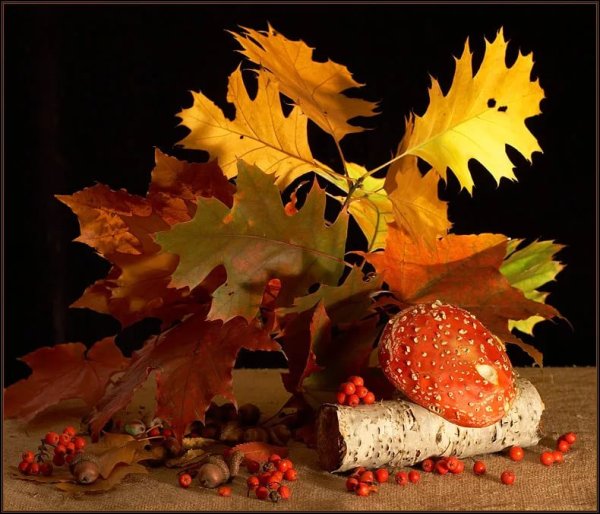 Открытки с первым днем осени