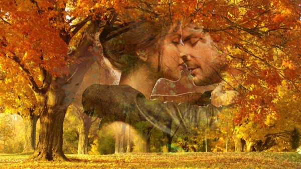 Осень любовь