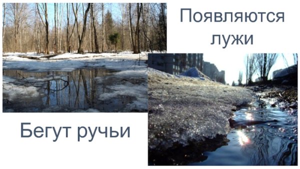 Весна лужа ручьи