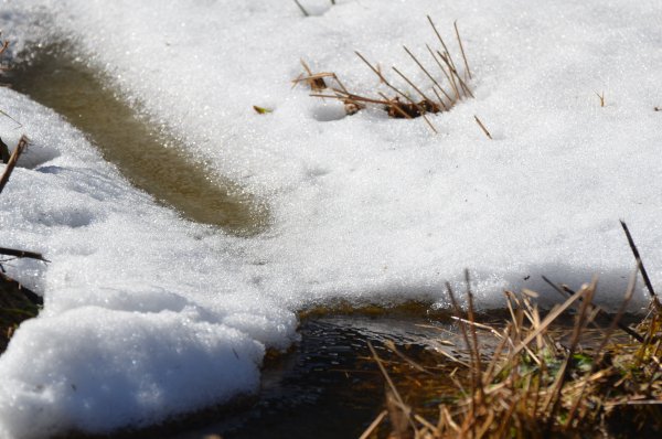 Ручей из под снега