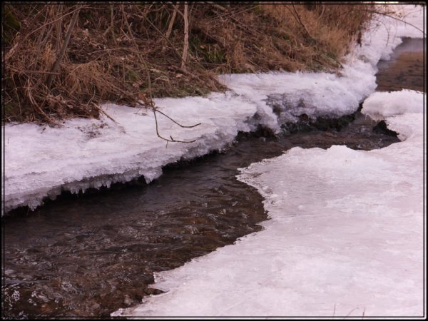 Весенние ручьи в городе