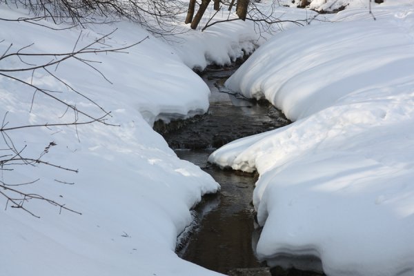 Бегут ручьи весной