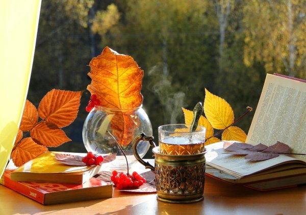 Уютная осень