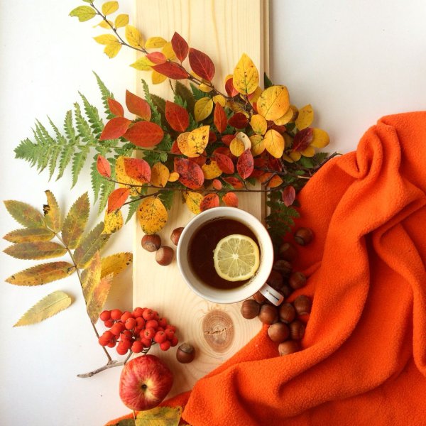 Осеннее утро чай