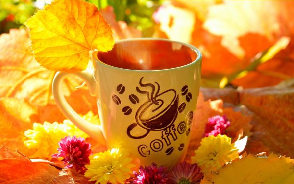 Доброе утро осень