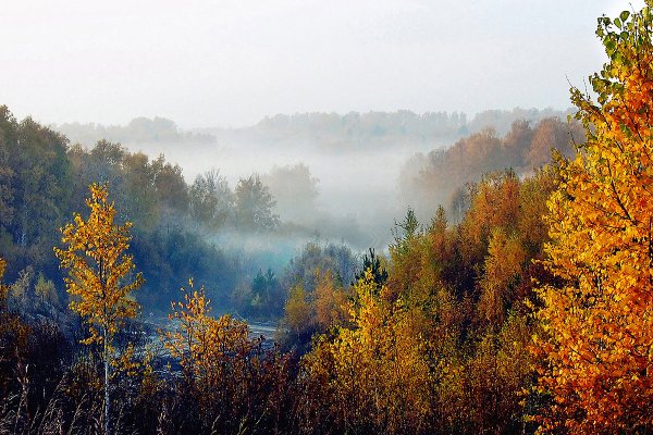 Осеннее утро в Сибири