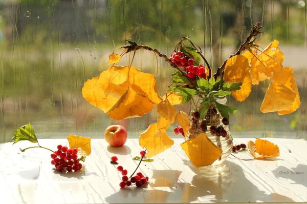 Осеннее утро