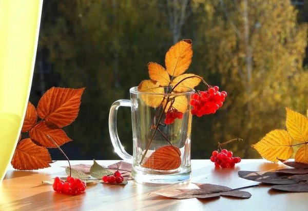 Доброе Холодное осеннее утро