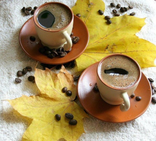 Осень кофе
