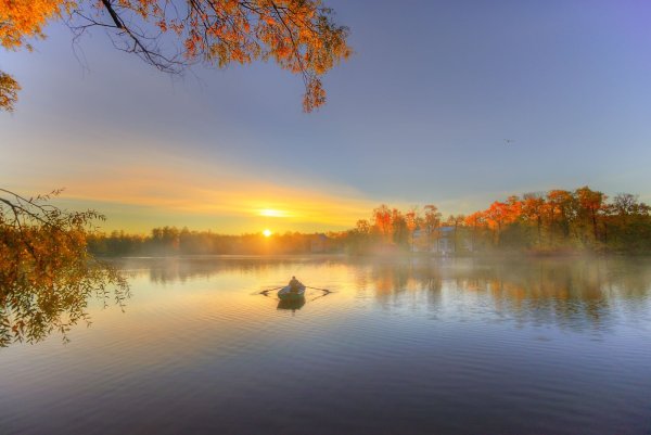 Осеннее утро