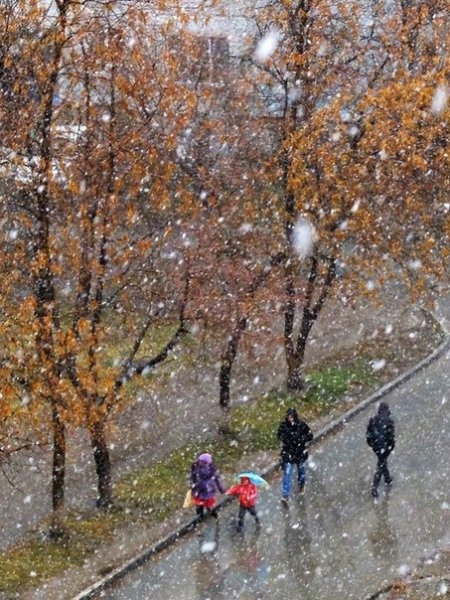 Снег с дождем осенью