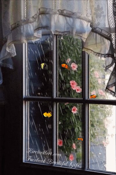 Дождь в окне