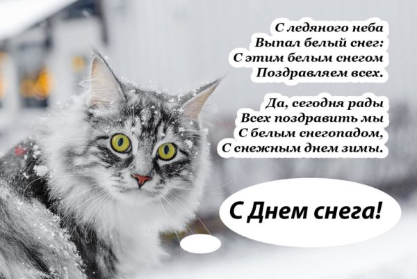 День снега