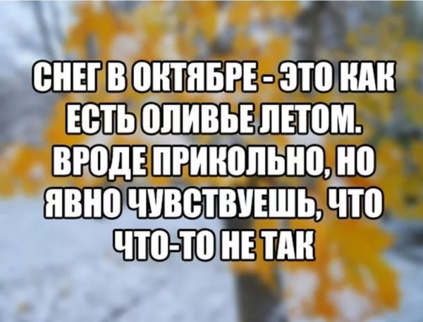 Шутки про ноябрь
