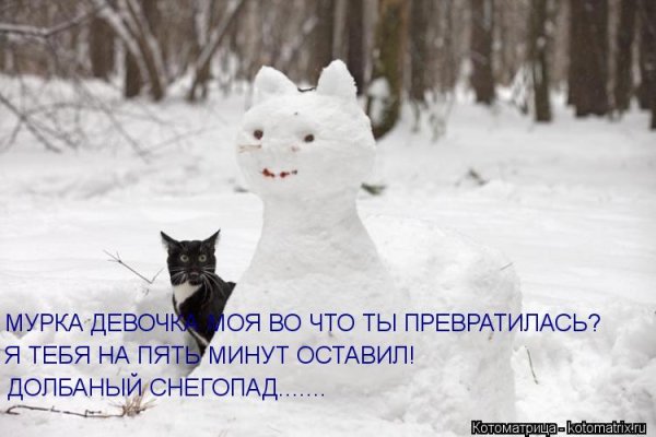 Приколы про снег