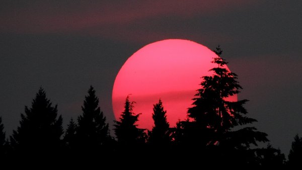 Красная Луна