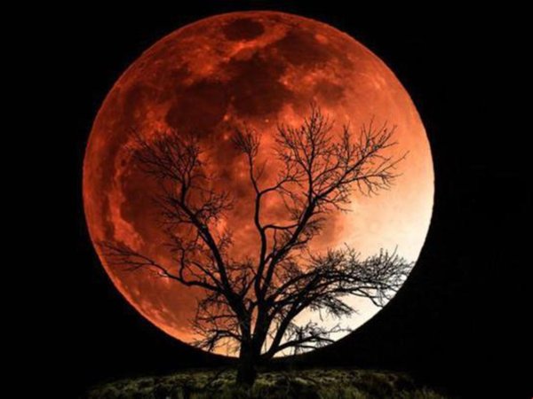 Кровавая Луна серп
