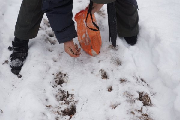 Зимняя посадка семян