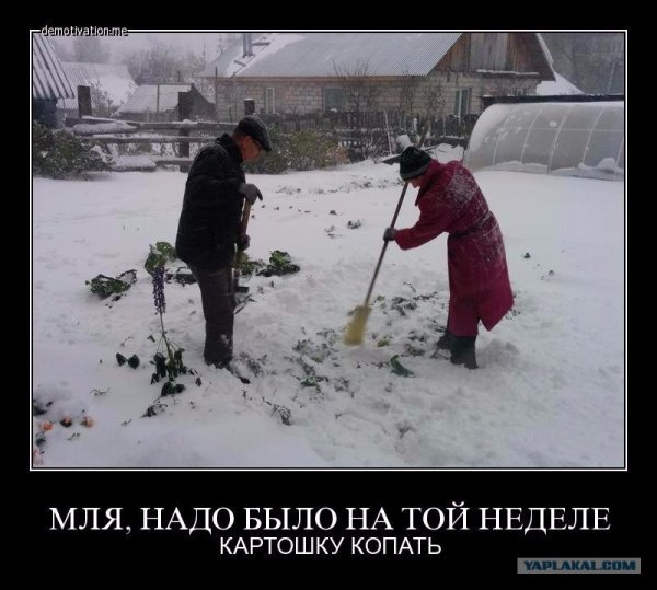 Юмор пора сажать картошку