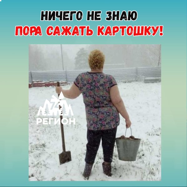 А что, уже пора сажать картошку?