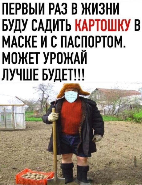Пора сажать картошку приколы
