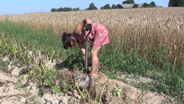 Девушка копает картошку