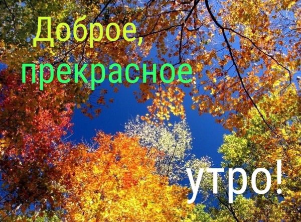 Пожелания с добрым осенним утром Мотивирующие