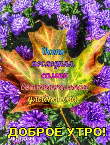 Открытки с добрым утром осенние