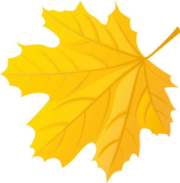 Желтые листочки