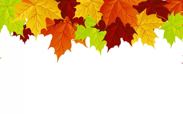 Осенние листья на прозрачном фоне