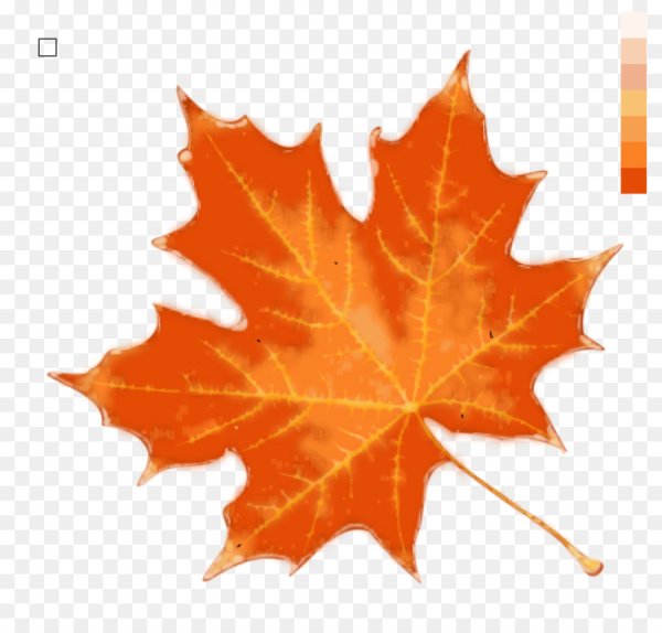 Оранжевые листья на прозрачном фоне