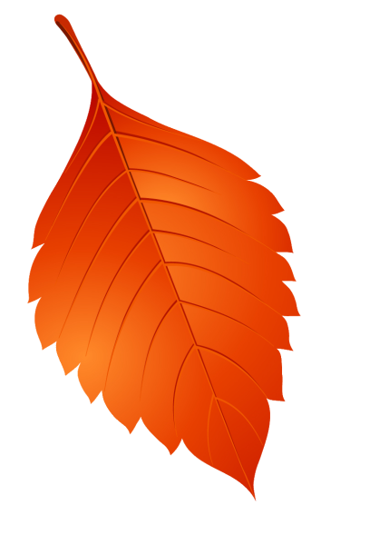 Осенние листья картинки