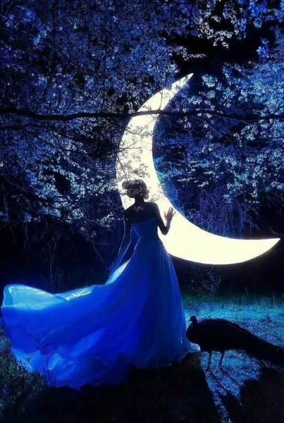Девушка в лунном свете