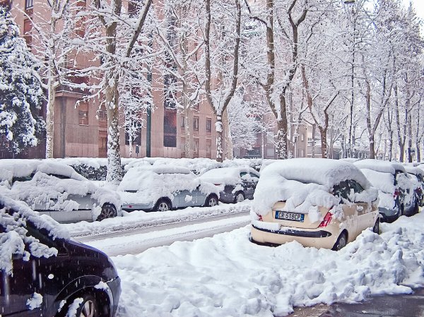 Москву завалило снегом фото