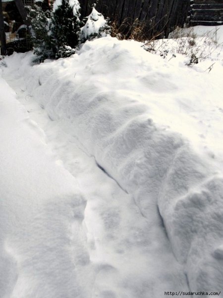 Нас завалило снегом