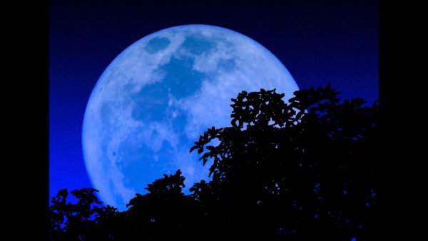 Голубое полнолуние