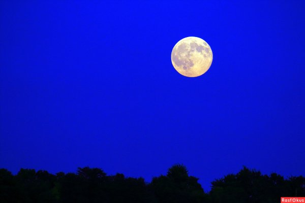 Голубое полнолуние