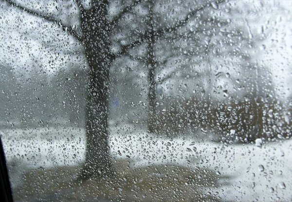 Дождь в декабре