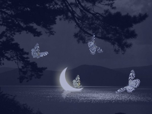 Сладких снов Минимализм