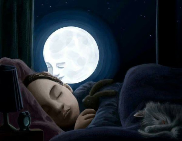 Сонная ночь