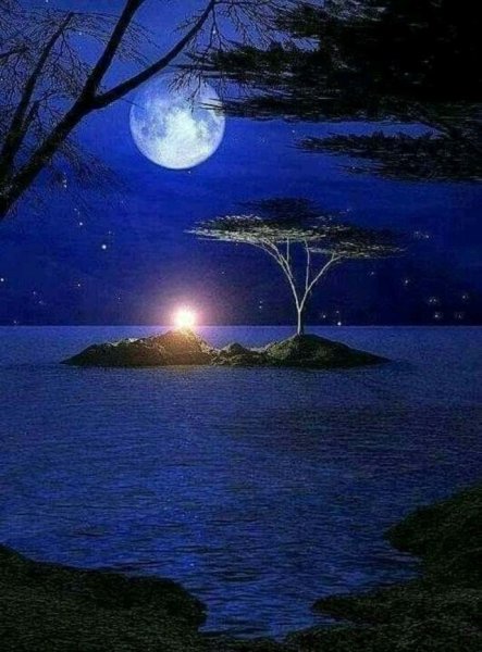 Ночной лунный пейзаж