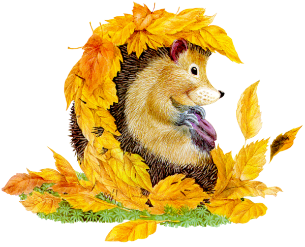 Осенний Ёжик