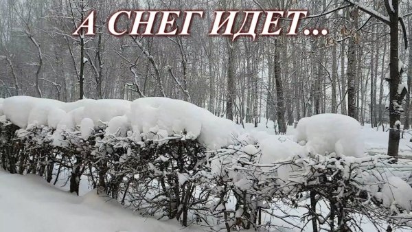 А У нас снегопад